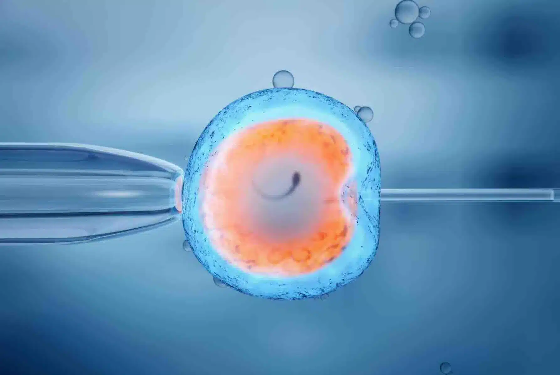 Egg freezing