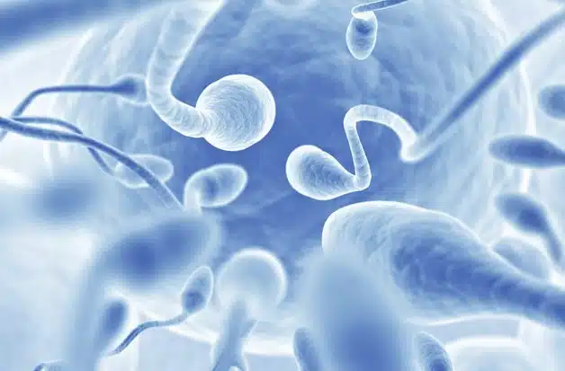 Male fertility care