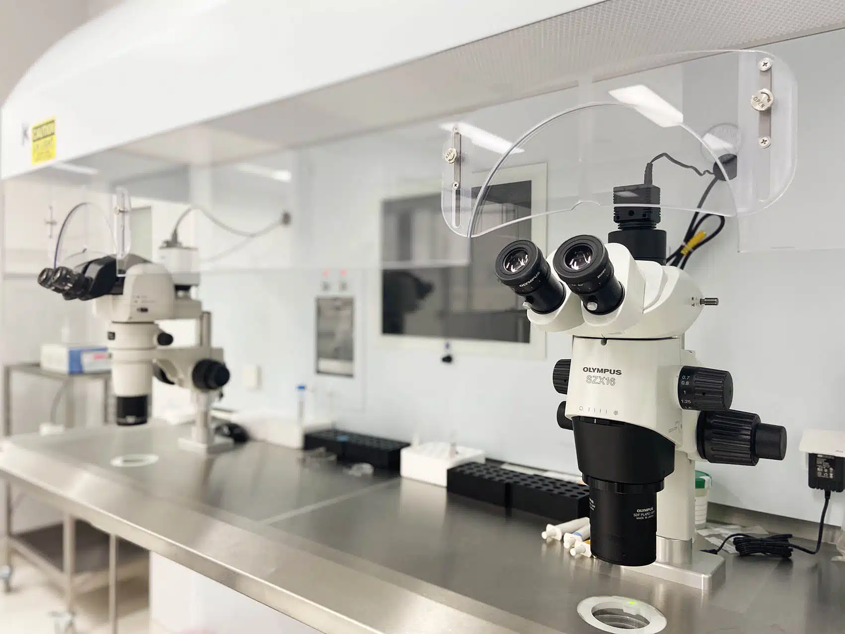 Fertility laboratory at AFMC in Diamond Bar